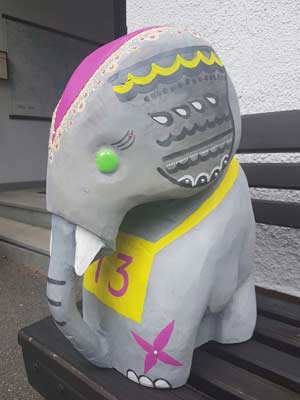 slon-gabca-koukalova1
