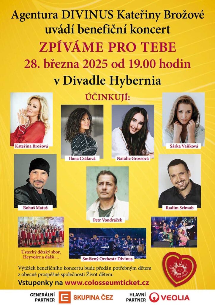 Plakát koncertu Zpíváme pro tebe